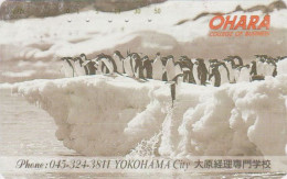 Télécarte JAPON / 110-011 - ANIMAL - OISEAU - MANCHOT ADELIE - PENGUIN BIRD JAPAN Phonecard - PINGUIN - 5778 - Pinguins