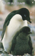 Télécarte JAPON / 110-011 - ANIMAL - OISEAU - MANCHOT ADELIE - PENGUIN BIRD JAPAN Phonecard - PINGUIN - BE 5785 - Pinguins
