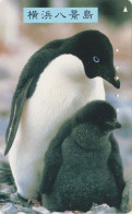 Télécarte JAPON / 110-155129 - ANIMAL - OISEAU - MANCHOT ADELIE - PENGUIN BIRD JAPAN Free Phonecard - PINGUIN - BE 5787 - Pinguins