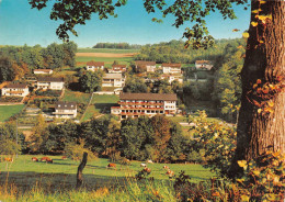 Höchst (Odenwald) - Waldhotel Forellenhof Gelaufen 1991 (1343) - Hoechst