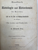 Handbuch Der Histologie Und Histochemie Des Menschen. - Salute & Medicina