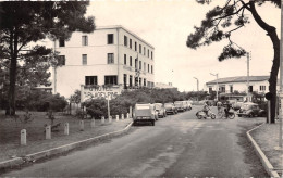 66-ARGELES-SUR-MER- HÔTEL DES PINS - Argeles Sur Mer