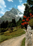 Braunwald - Blick Gegen Ortstock (3) - Braunwald