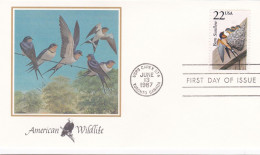 États-Unis FDC 1987 1718 Oiseaux Hirondelle Rustique - 1981-1990