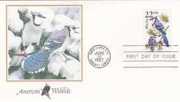 États-Unis FDC 1987 1750 Oiseaux Geai Bleu - 1981-1990