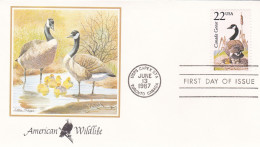 États-Unis FDC 1987 1766 Oiseaux Bernache Du Canada Ou Outarde - 1981-1990