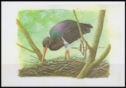 E/A - Épreuve D'artiste** - Cigogne Noire / Zwarte Ooievaar / Schwarzstorch / Black Stork - SIGNÉ BUZIN - Probe- Und Nachdrucke