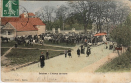 CPA SEICHES Champ De Foire (127355) - Seiches Sur Le Loir