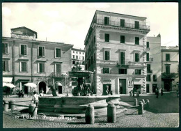 VX012 - VELLETRI - PIAZZA MAZZINI ANIMATA 1955 - ROMA - Velletri