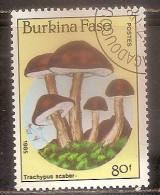 BURKINA FASO OBLITERE - Burkina Faso (1984-...)