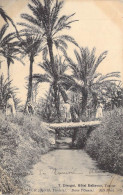 TUNISIE - Tozeur - Dans L'Oasis - Carte Postale Ancienne - Túnez