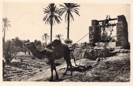 TUNISIE - Tunis - Dans Le Sud - Pompage De L'eau Par La Noria - Carte Postale Ancienne - Túnez