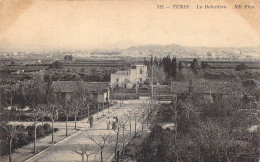 TUNISIE - Tunis - Le Belvédère - Carte Postale Ancienne - Tunesië