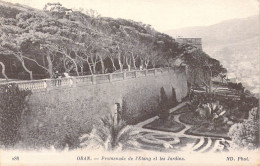 ALGERIE - Oran -  Promenade De L'Etang Et Les Jardins - Carte Postale Ancienne - Oran