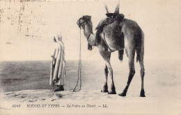 ALGERIE - Scènes Et Types - La Prière Au Désert - Carte Postale Ancienne - Plaatsen