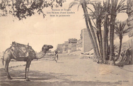 ALGERIE - Scènes Et Types - Les Ruines D'une Casbah Dans La Palmeraie - Carte Postale Ancienne - Plaatsen