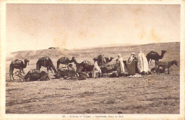 ALGERIE - Scènes Et Types - Caravane Dans Le Sud - Carte Postale Ancienne - Escenas & Tipos