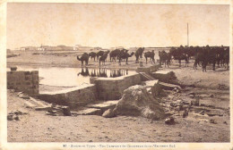 ALGERIE - Scènes Et Types - Une Caravane De Chameaux Dans L'Extrême-Sud - Carte Postale Ancienne - Scene & Tipi