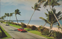 ETATS UNIS FL - FLORIDA PALM BEACH VIEW OF BEACH AS SEEN FROM OCEAN BOULEVARD - Palm Beach