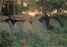 CLEGUEREC - Allée Couverte De Boter-Mohed - 10 - Cleguerec