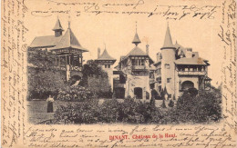 BELGIQUE - Dinant - Château De La Haut - Carte Postale Ancienne - Dinant