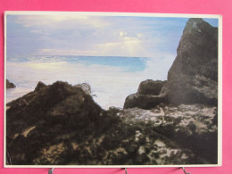 Visuel Très Peu Courant - Bermudes - Rocks And Surf - Joli Timbre - R/verso - Bermuda