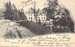 BELGIQUE - Ciney - Château D'Halloy - Carte Postale Ancienne - Ciney