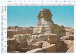 Giza The Great Sphinx - Sphynx