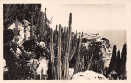 MONTE-CARLO Un Coin Du Rocher Et Les Jardins Exotiques - Jardín Exótico