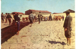 PRAIA Do FURADOURO - CHEGOU O SACO !  - - Otros & Sin Clasificación