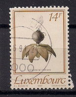 LUXEMBOURG     N°   1218   OBLITERE - Gebruikt