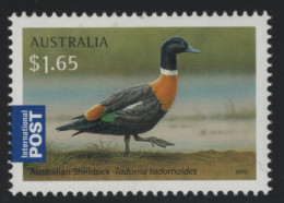 Australia 2012 MNH Sc 3664 $1.65 Australian Shelduck - Mint Stamps