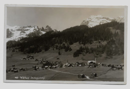 Wildhaus Gelaufen 1935y.   G801 - Wil