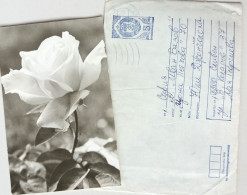 #68 Traveled Envelope And Postcard Rosa Cyrillic Manuscript Bulgaria 1980 - Local Mail - Covers & Documents