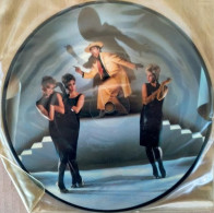 Kid Creole & The Coconuts Annie, I'm Not Your Daddy 45 Giri Vinile Picture Disc - Formatos Especiales