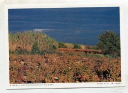 AK 132690 FRANCE - Weinbau Bei Chateauneuf-du-Pape - Chateauneuf Du Pape