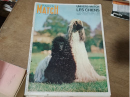 105 //  PARIS MATCH / LES CHIENS / 1966 - Animales