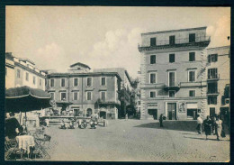 VX114 - VELLETRI PIAZZA G MAZZINI - ANIMATA 1940 CIRCA - ROMA - Velletri