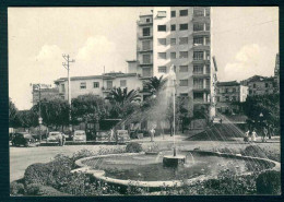 VX117 - VELLETRI PIAZZA GARIBALDI - ANIMATA 1950 CIRCA AUTO CAR - ROMA - Velletri