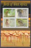 2016 Liberia 6919-6922KL Birds  12,00 € - Spechten En Klimvogels