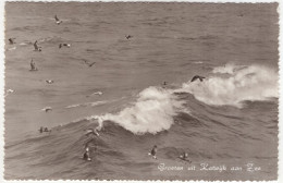 Groeten Uit Katwijk Aan Zee - Golfslag - (Zuid-Holland, Nederland) - 1959 - Katwijk (aan Zee)