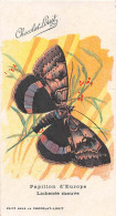 ANIMAUX - PAPILLON D'EUROPE - LICHENEE MAUVE - EDITION CHOCOLAT-LOUIT - Papillons