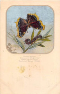 ANIMAUX - PAPILLON - VANESSE ANTIOPE (OSIER) - CARTE DESSNEE, ILLUSTRATEUR - Papillons