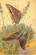 ANIMAUX - PAPILLON - LE JASUS (CHARAXES JASIUS) - FLEURS - CARTE DESSINEE, ILLUSTRATEUR A MILLOT - Papillons
