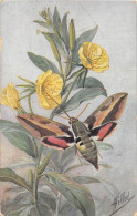 ANIMAUX - PAPILLON - LE SPHINX DE L'EUPHORBE - CARTE DESSINEE, ILLUSTRATEUR A MILLOT   - Papillons