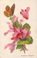 ANIMAUX - PAPILLON - FLEURS - CYCLAMENS ET BACHANTE - CARTE DESSINEE, ILLUSTRATEUR - EDITION CHICOREE CASIEZ, CAMBRAI  - Papillons