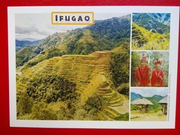 Ifugao - Philippines