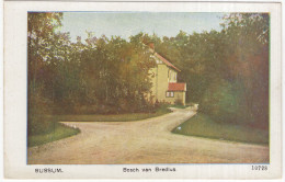 Bussum. Bosch Van Bredius   10728 - (Noord-Holland) - Uitg.: Nauta, Velsen. - Bussum