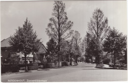 Aerdenhout, Zonnenbloemlaan - (Noord-Holland, Nederland) - Fa. T. Plomp En Zn., Aerdenhout - Bloemendaal