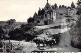 BELGIQUE - CHINY - Chapelle ND - Charette Et Cheval - Carte Postale Ancienne - Chiny